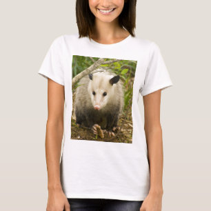 Possums are Pretty - Opossum Didelphimorphia T-Shirt