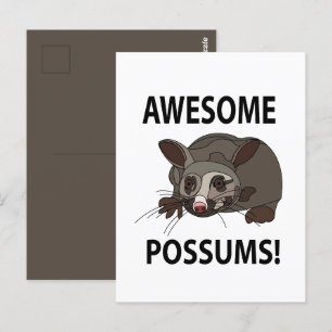 Possums Awesome Funny Possums Postcard