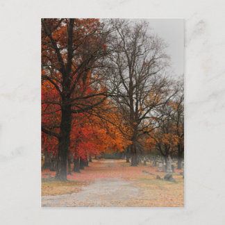 Post Card