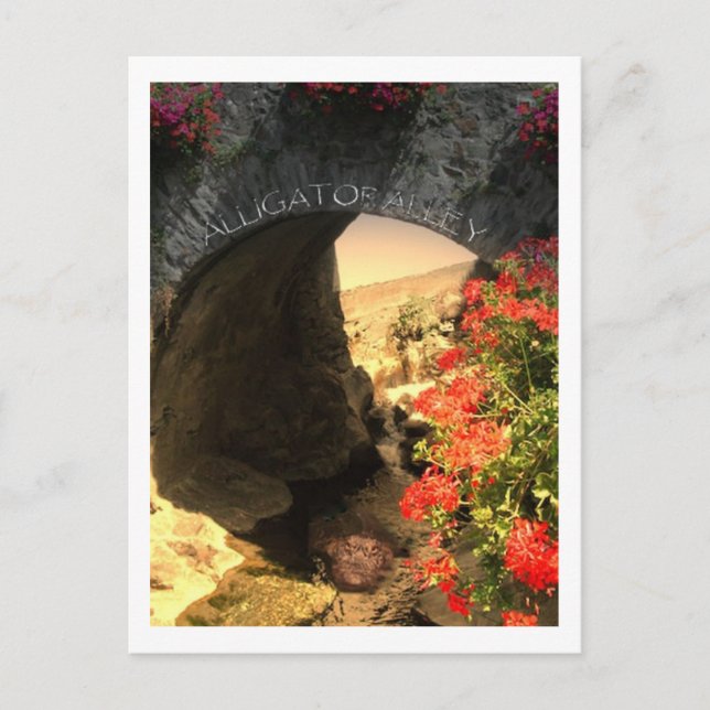 POST CARD Alligator Alley (Front)