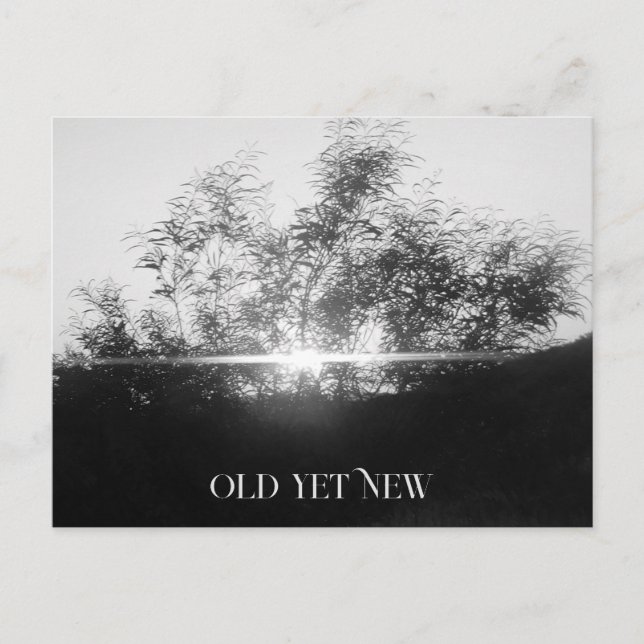 POST CARD ART AND DESIGN (Front)