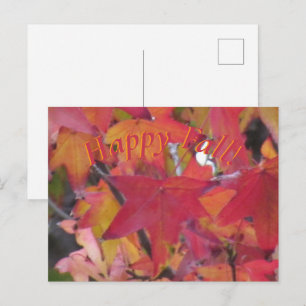 Post Card - Fall Leaves