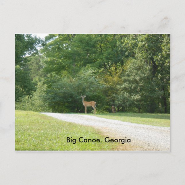 Post Card from Big Canoe, Georgia (Front)
