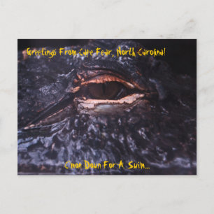 Post Card Greetings From Cape Fear, North Carol...