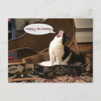 Post Card, Happy Birthday, Cat Singing Guitar Case