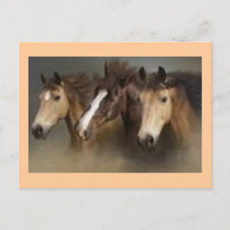 Post card ith Horses