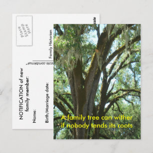 Post Card - New Family Member