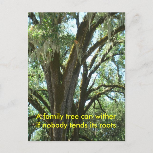 Post Card - New Family Member (Front)