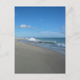 Post Card:Outer Beach on the Cape Postcard