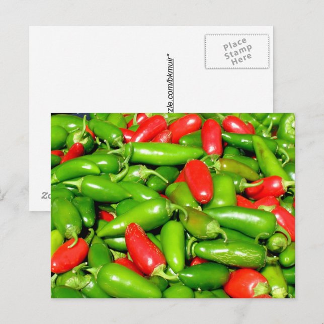 Post Card - Peppers (Front/Back)