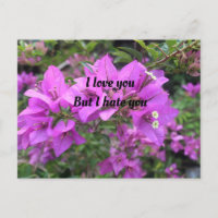 Post Card, Size: Standard Postcard, Paper: Semi-Gl