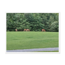 Post Card, Size: Standard Postcard, Paper: Signatu