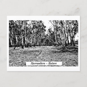 Post Card, Size: Standard Postcard, Postcard