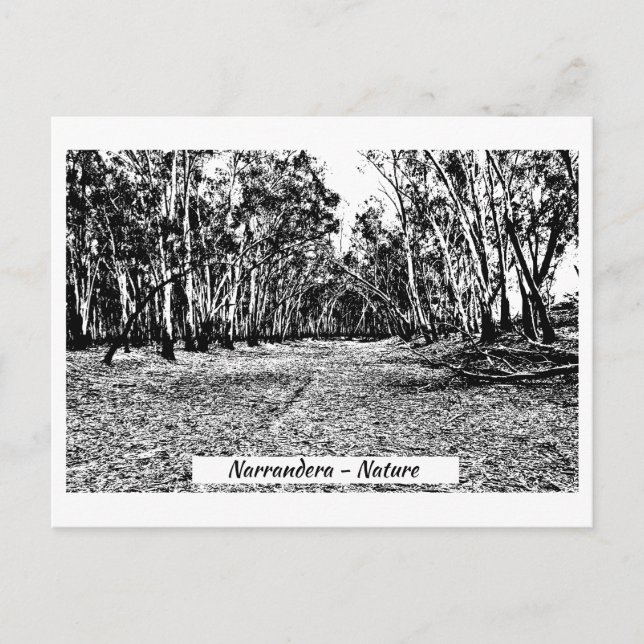 Post Card, Size: Standard Postcard, Postcard (Front)