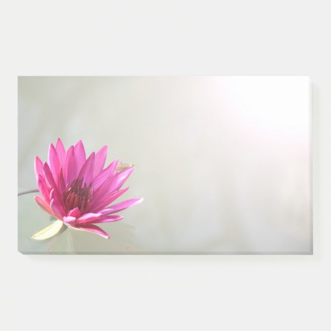 Post It Notes (Front)