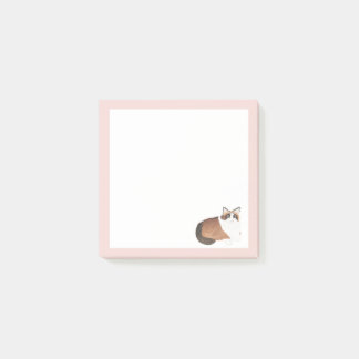 Post-It® Notes, 3" x 3" Post-it Notes