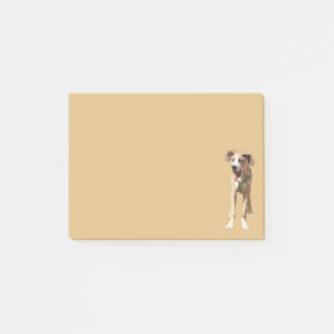 Post it notes Walter the Great Dane