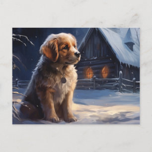 Postal card Dog 5-11