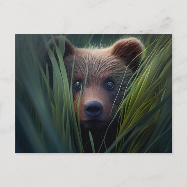 Postal cards bear herb (Front)