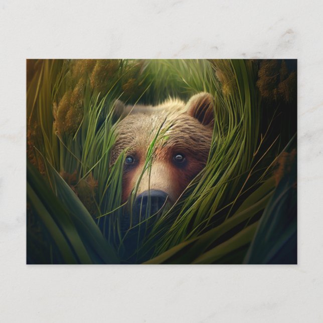 Postal cards bear herb (Front)