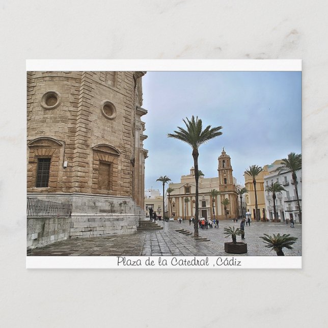 Postal de Plaza de la Catedral ,Cádiz Postcard (Front)