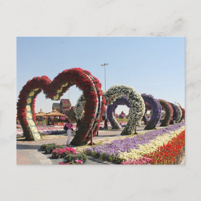 Postal Dubai Miracle Garden Postcard (Front)