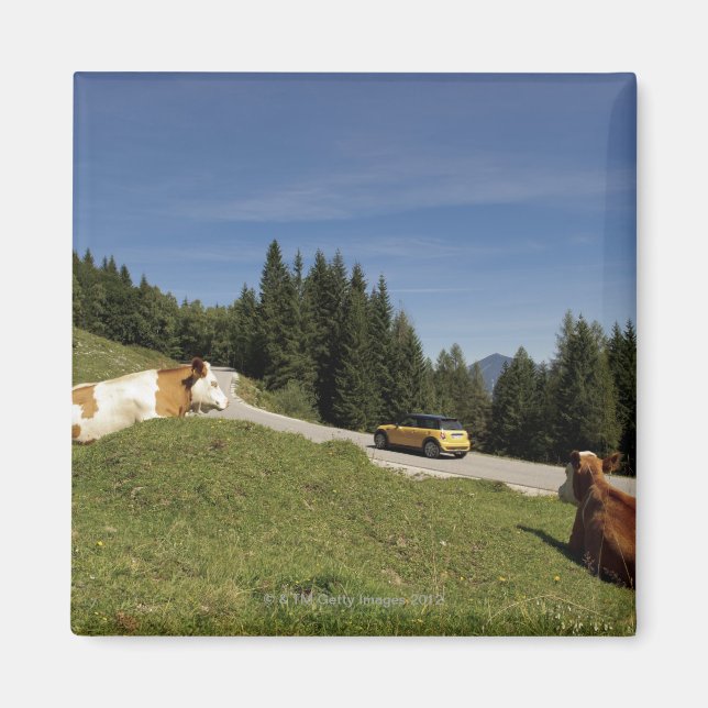 postalm road, weissenbachtal, magnet (Front)