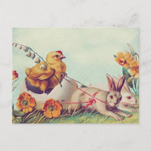 Postcard