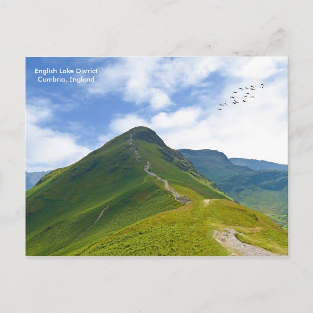 Postcard (Front)