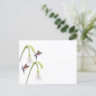 Postcard