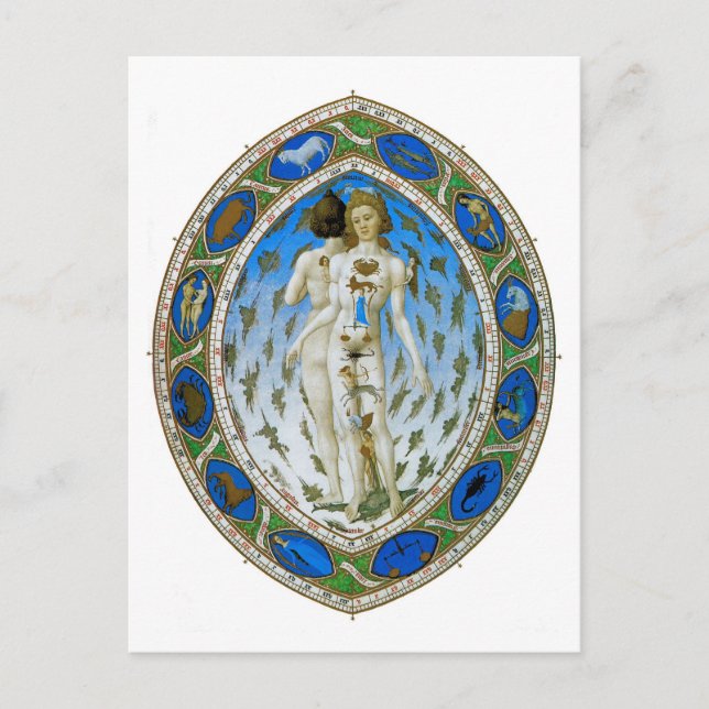 Postcard: Anatomical Man Postcard (Front)