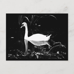 Postcard-Animals-23 Postcard