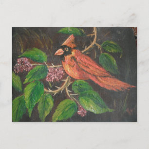 Postcard Ann Hayes Painting Cardinal