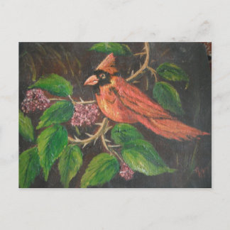 Postcard Ann Hayes Painting Cardinal