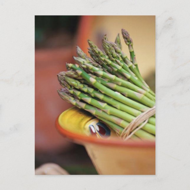 POSTCARD ASPARAGUS (Front)