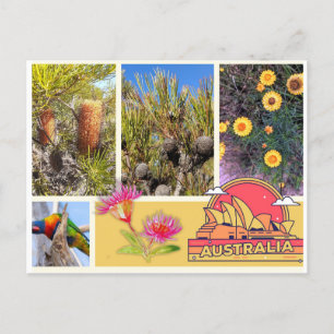 Postcard Australia 