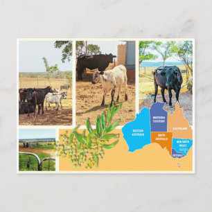 Postcard Australia
