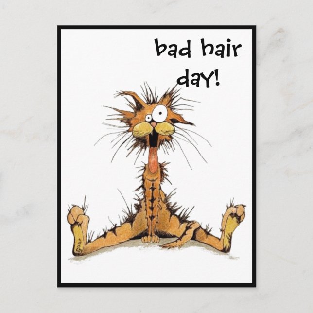 Postcard - Bad Hair Day! (Front)