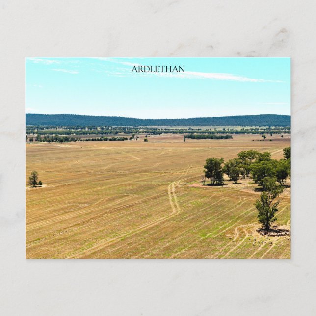 Postcard basic-semi gloss (Front)