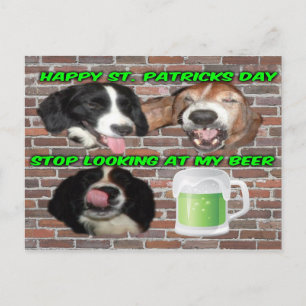 Postcard Basset Hound Stop Looking At My Beer