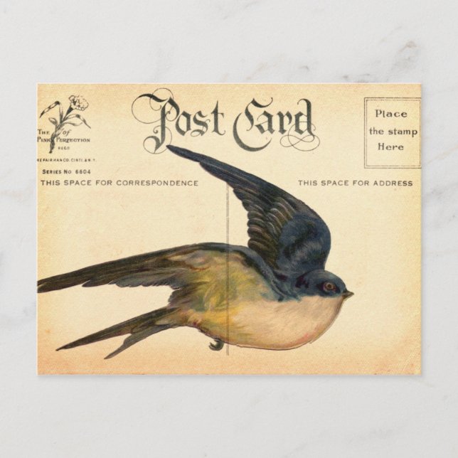 Postcard Bird Digital Art (Front)