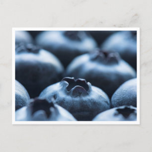 Postcard - Blueberries