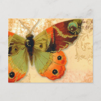 Postcard   "Butterfly"