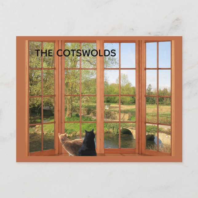 POSTCARD Cats and Charming Cotswolds Countryside  (Front)