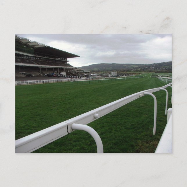 Postcard - Cheltenham Racecourse (Front)
