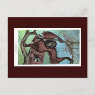 Postcard - Chimpanzee