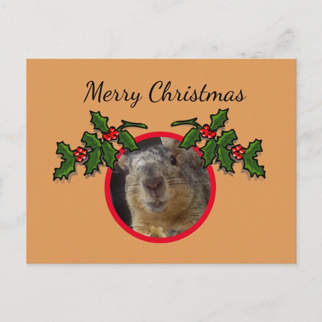 Postcard - Christmas Greeting Squirrel (Front)