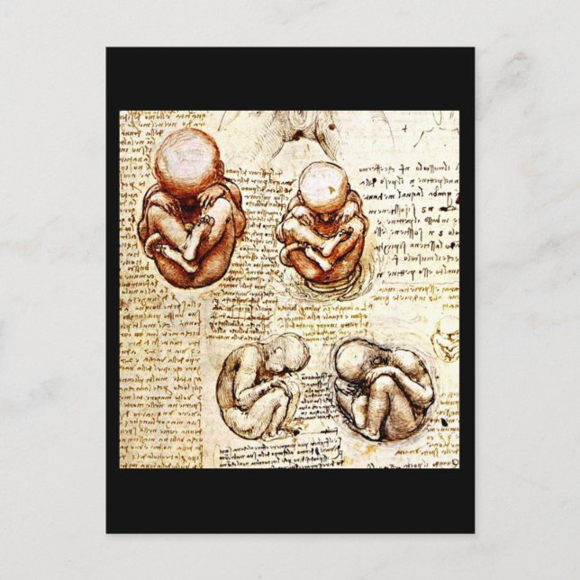 Postcard-Classic/Vintage-Leonardo da Vinci 9 Postcard (Front)