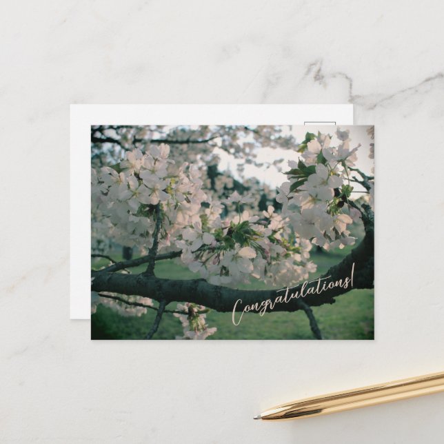 PostCard Congratulations! (Front/Back In Situ)