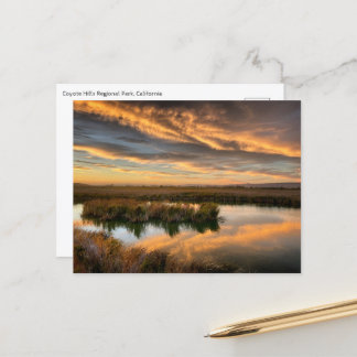 Postcard - Coyote Hills Regional Park, California